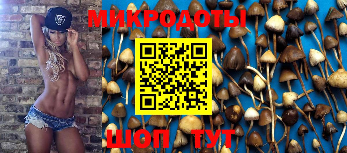 Галлюциногенные грибы Magic Shrooms  Вход с VPN  Нововоронеж 
