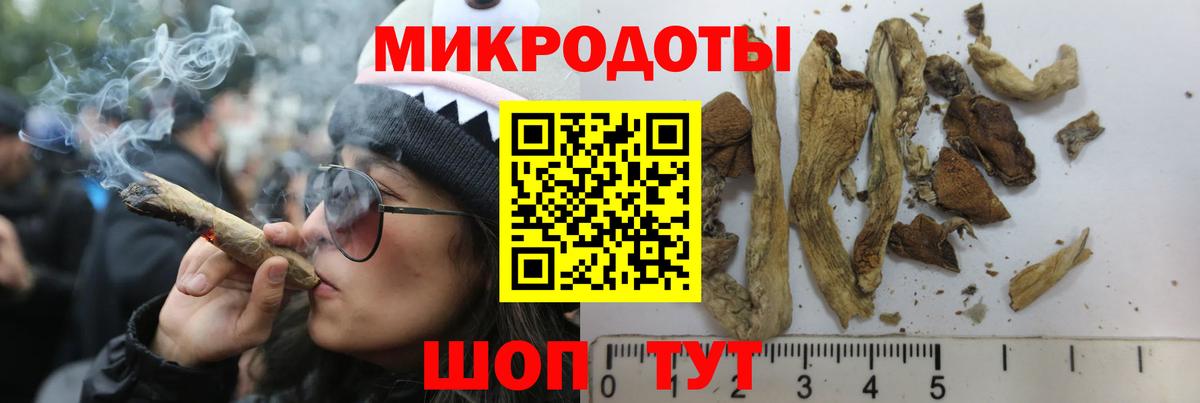 Псилоцибиновые грибы мухоморы Нововоронеж